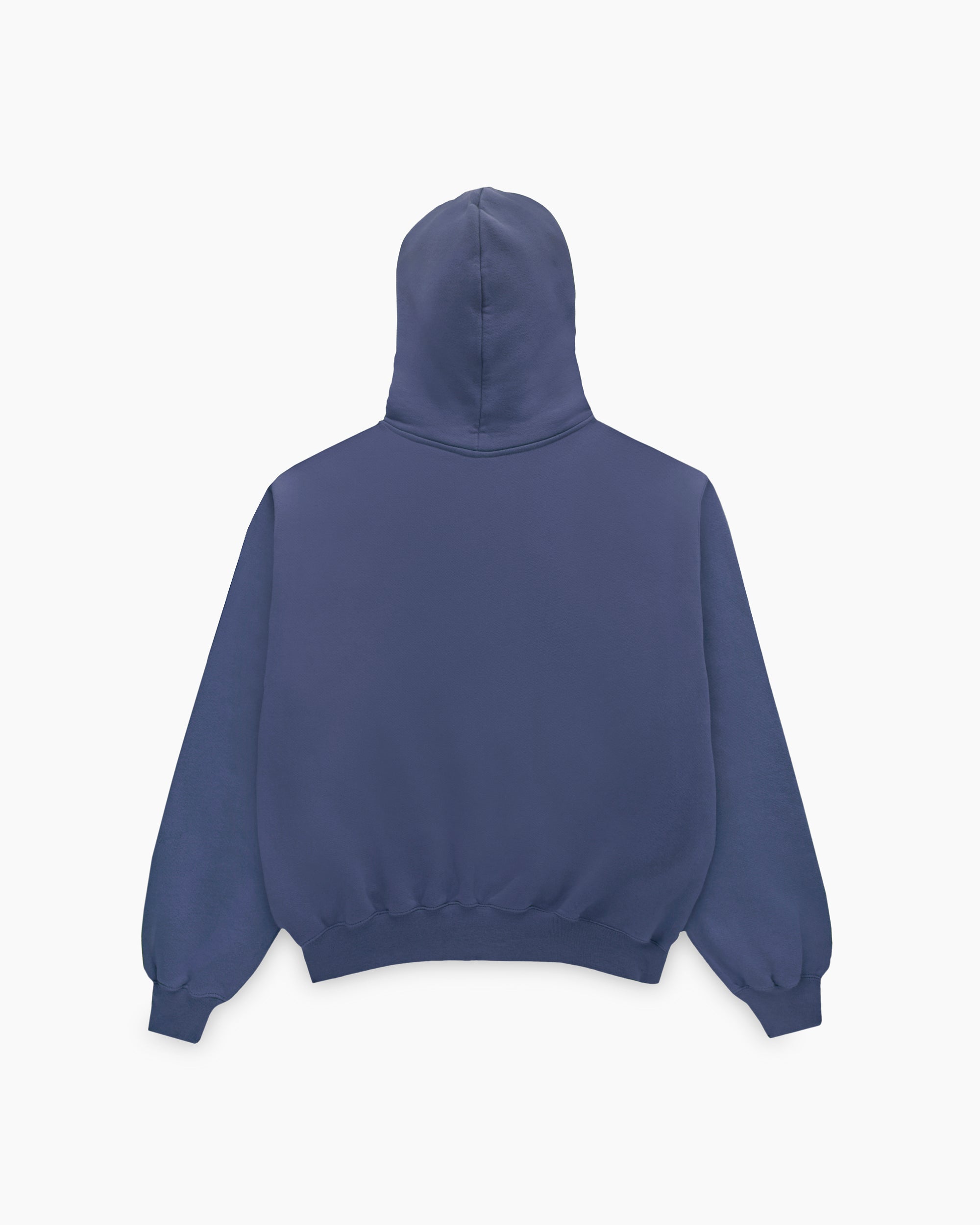 DUSTY UNIVERSITY BLUE ZIP HOODIE